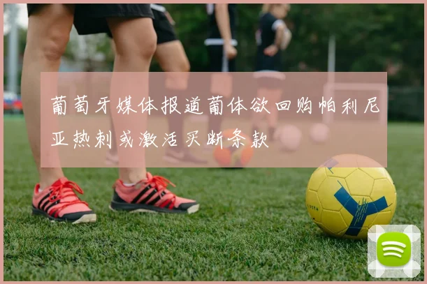 葡萄牙媒体报道葡体欲回购帕利尼亚热刺或激活买断条款